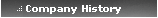 Company History