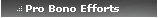 Pro Bono Efforts