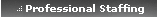 Professional Staffing